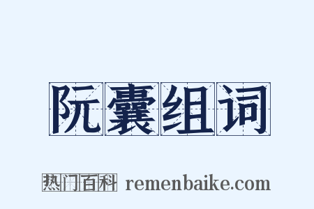 阮囊组词是什么意思的图片